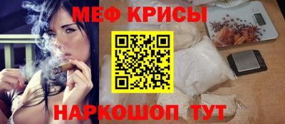 крисы Кингисепп