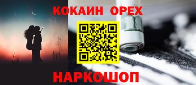 крисы Кингисепп