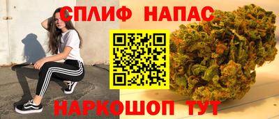 крисы Кингисепп
