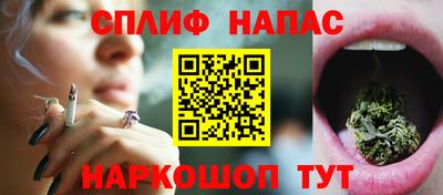 крисы Кингисепп