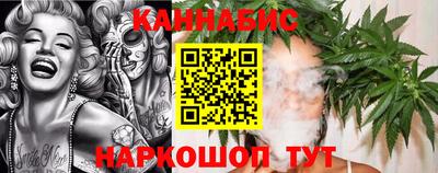 крисы Кингисепп