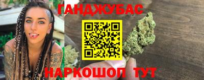 крисы Кингисепп
