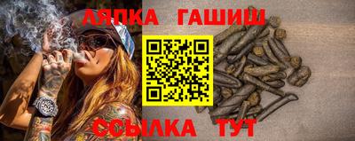 крисы Кингисепп
