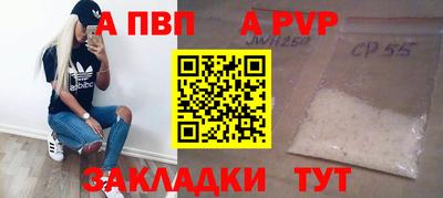 крисы Кингисепп