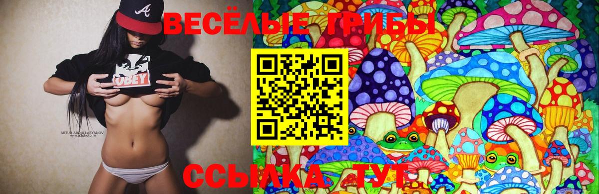 Кулебаки  Галлюциногенные грибы Psilocybe  Вход с VPN  Псилоцибиновые грибы Magic Shrooms 