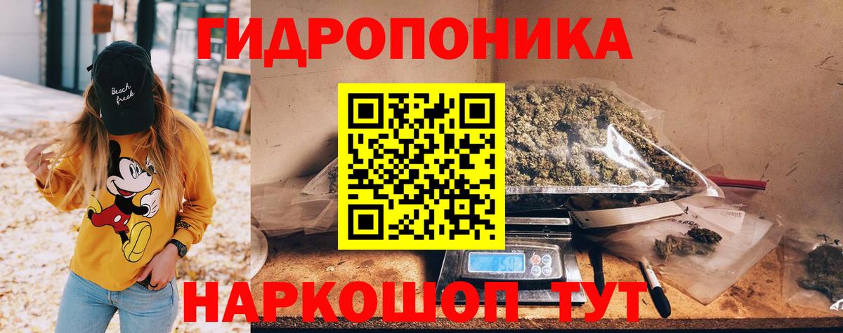 Каннабис индика  Конопля OG Kush  Вход с VPN  Кулебаки 